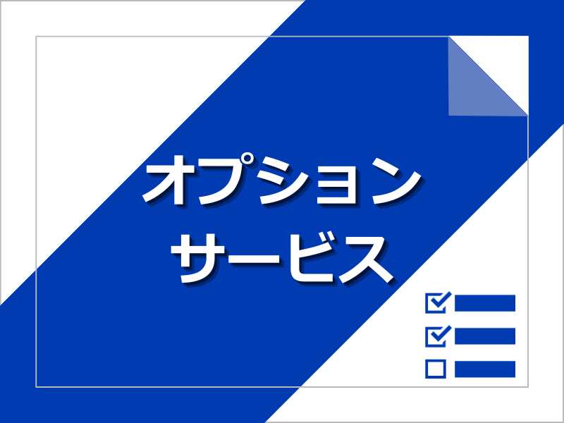 ひかり電話など オプション